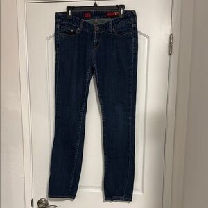EXPRESS Women's Low Rise Blue Skinny Jeans